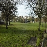 Rye Bonfire 2002