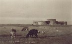 Camber Castle