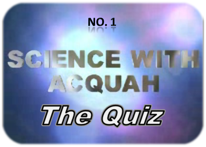 quiz 1