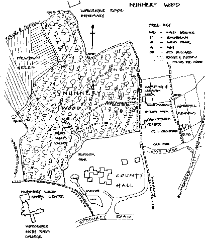 Map of Nunnery Wood (nunndetail.gif - 11735 Bytes)