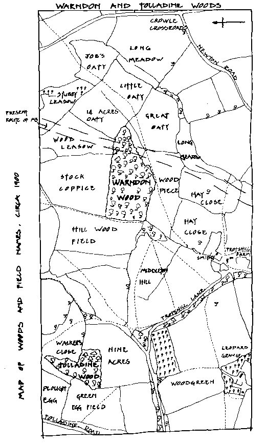 Map of Warndon and Tolladine Woods - wawoodsdetail.gif - 19683 Bytes