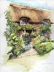 Thatched Cottage