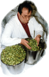 Blending the hops