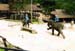 Elephant football