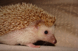 wp7fa25785_0f.jpg
