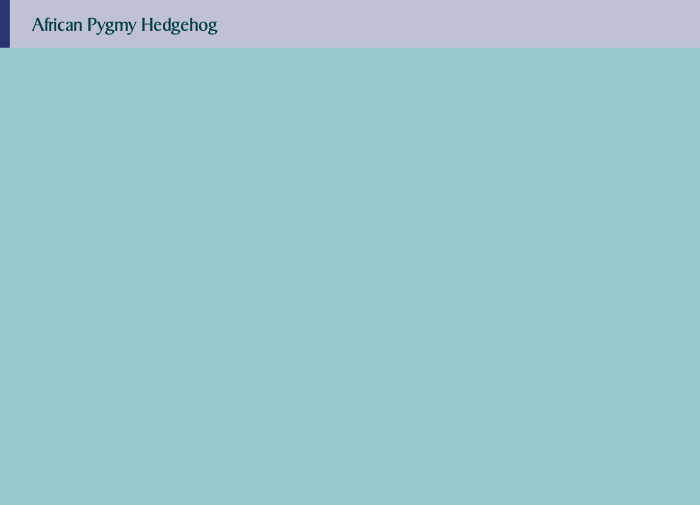 wp92081bef.png