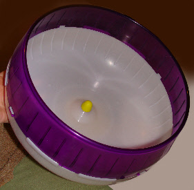 wpde02fd7a_0f.jpg
