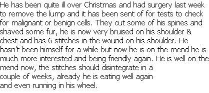 wpe1837f13.png