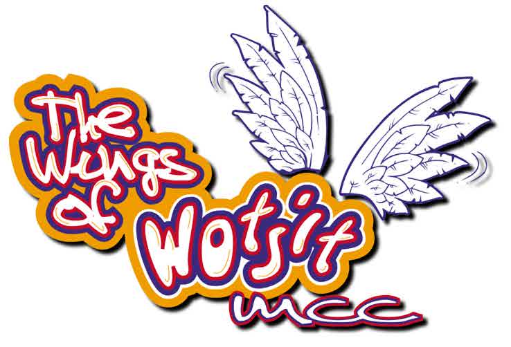 Wings of Wotsit