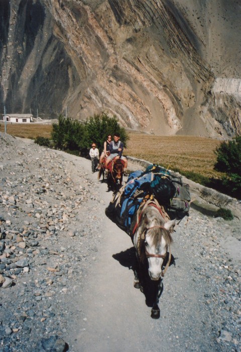 Pony trek from Kagbeni to Mukhtinath