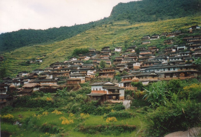 Mudi Gaun