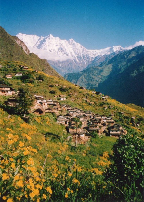Mudi Gaun with western Dhaulagiri Himal in background