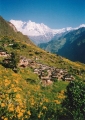 Mudi village with Dhaulagiris in background