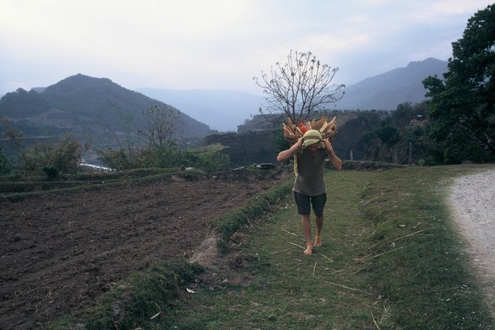 Me carrying firewood on my head. I never went back for a 2nd load