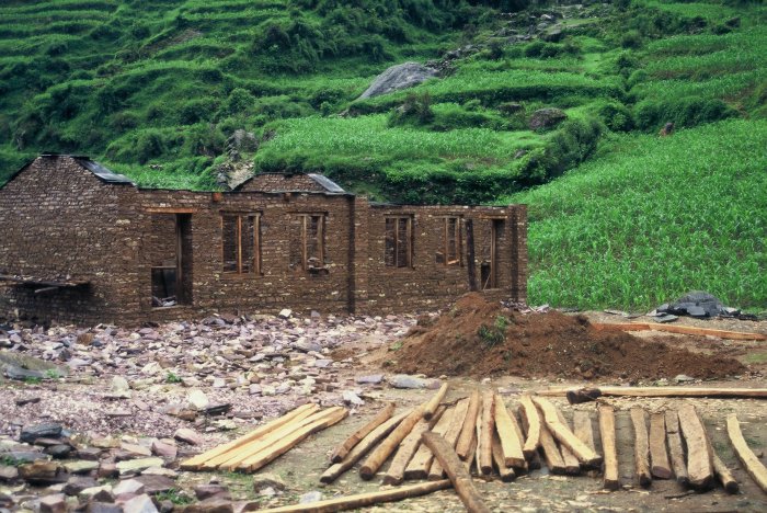 Timber for use in a community school building project