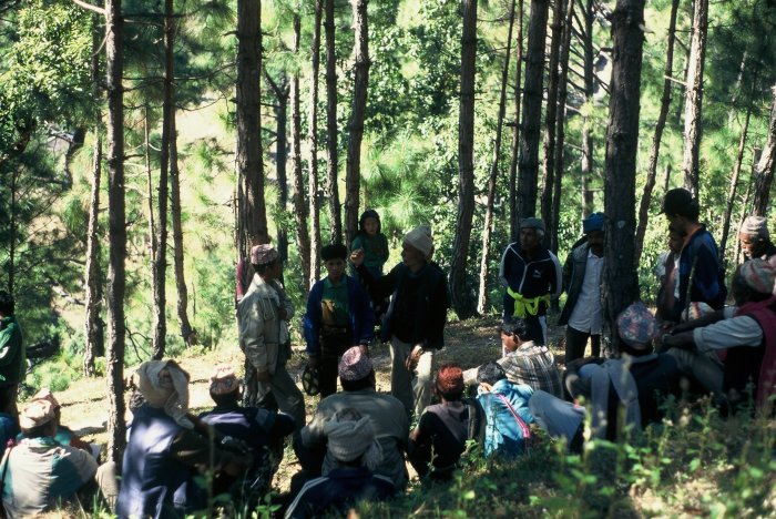 DFO staff giving training on forest thinning to a forest user group