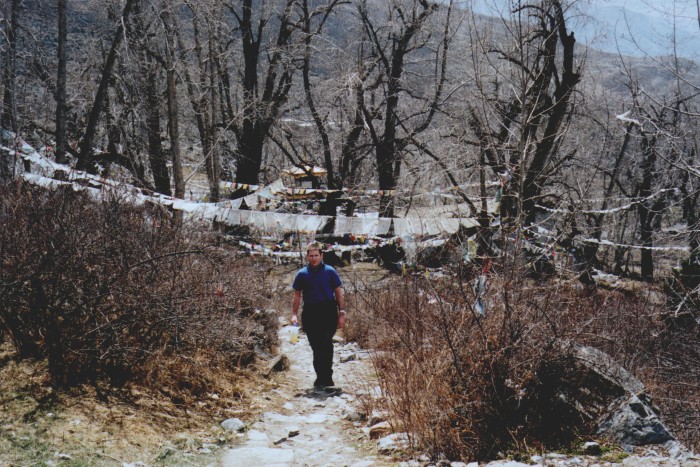 Sacred forest at Mukhtinath