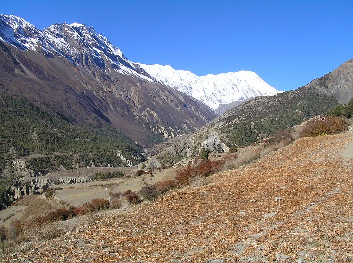 Way up to Tilicho Lake - not for me this time!