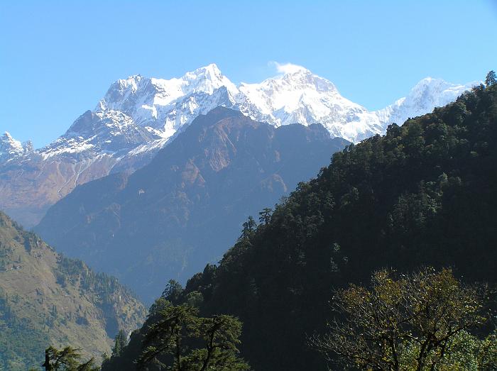 First proper view of Manaslu on climb to Timang