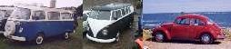 Lucy & Steve's VWs